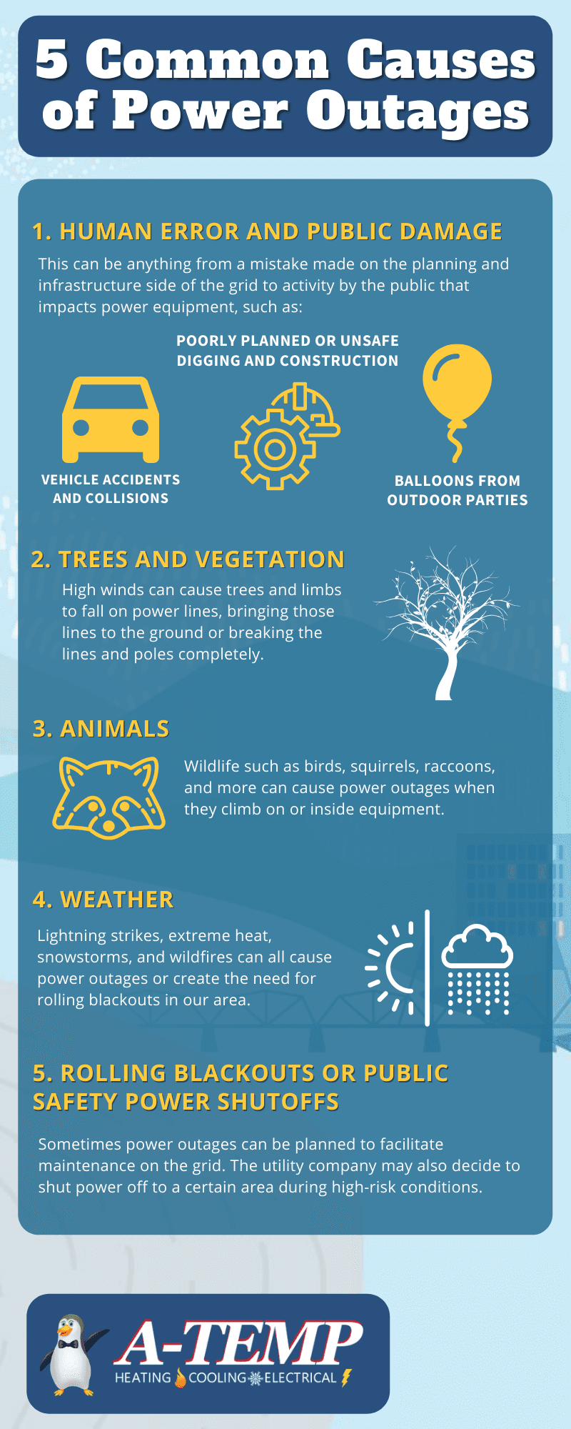 5 Common Causes Of Power Outages